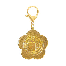 Cargar esta imagen a la galería, Amuleto de los 5 elementos